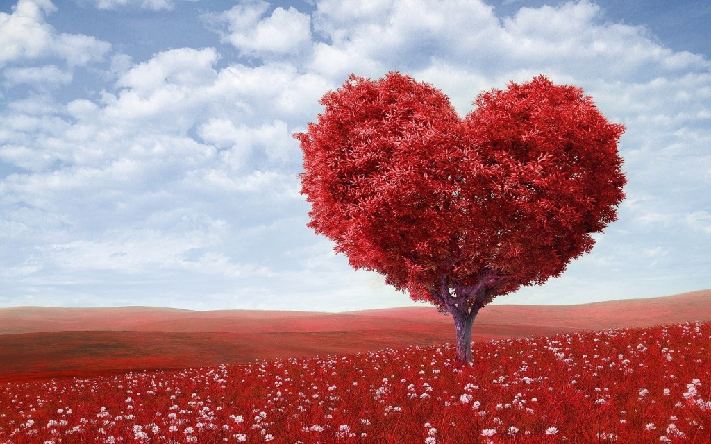 Día Mundial del Corazón: Prevenir Enfermedades Cardiovasculares con Hábitos Saludables