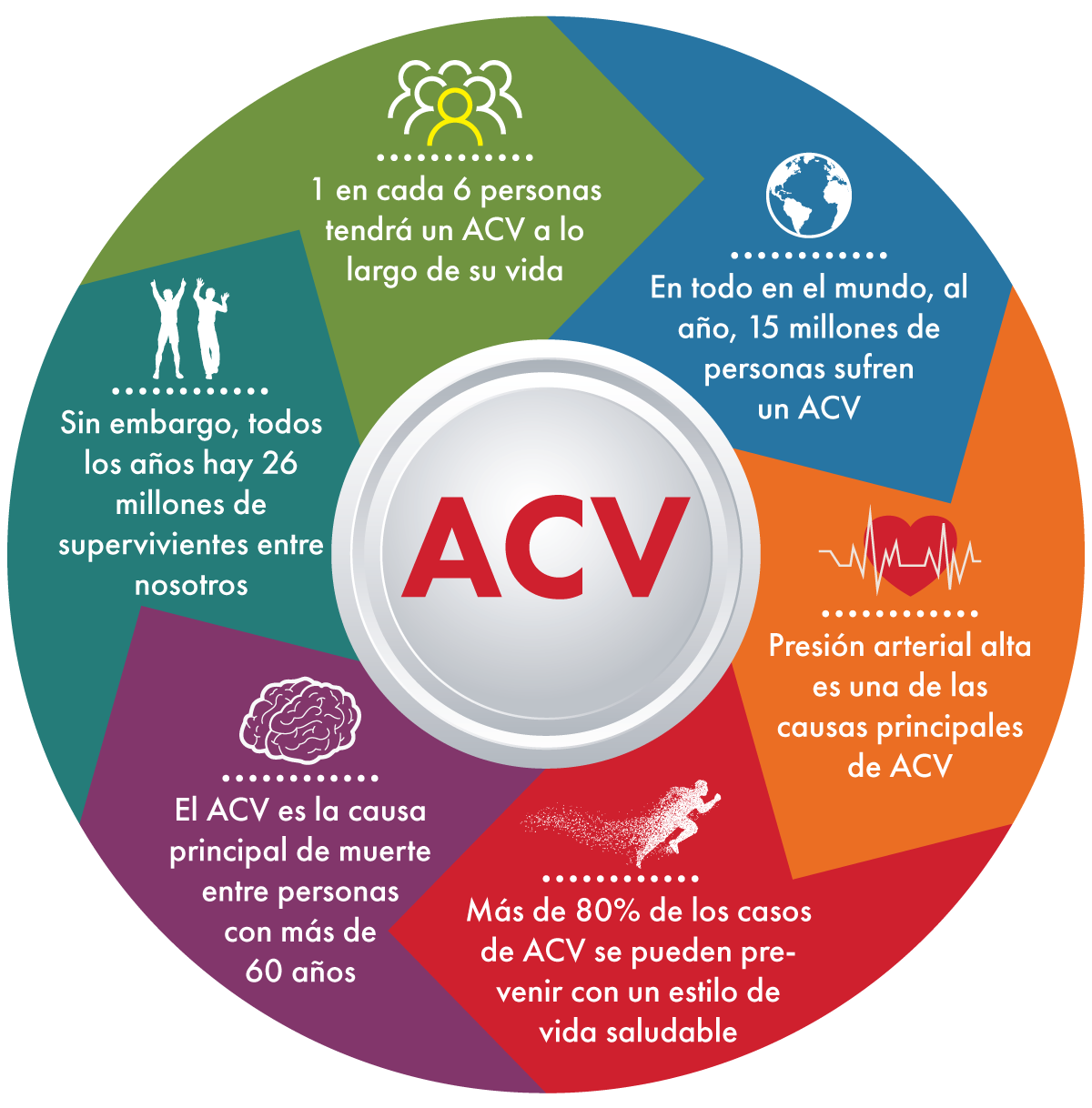 Hechos y cifras sobre el ACV